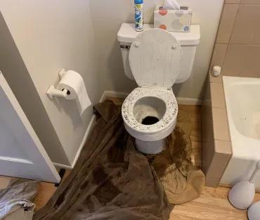 Toilet-Overflow